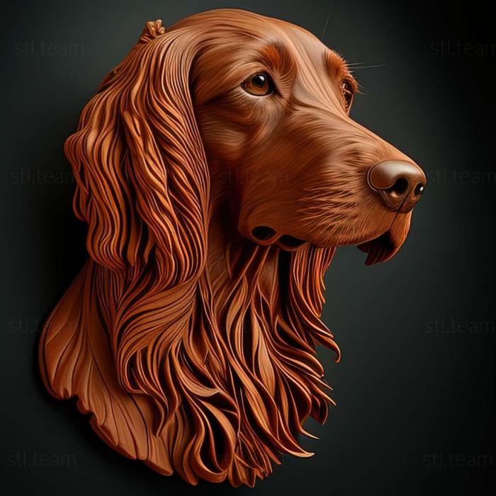 Animals Scottish Setter dog